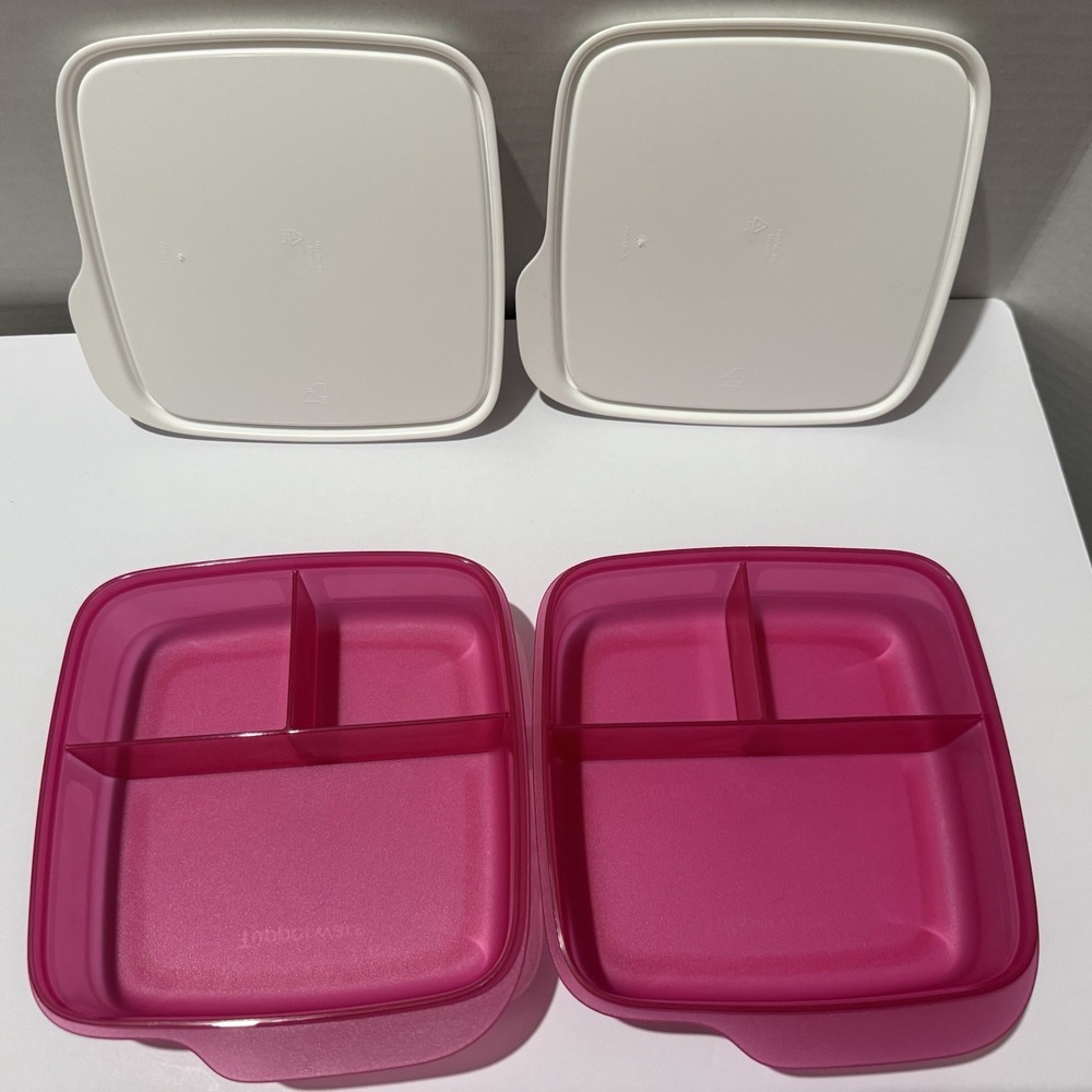 Tupperware Lunch It Containers Fuchsia Pink Set of 2